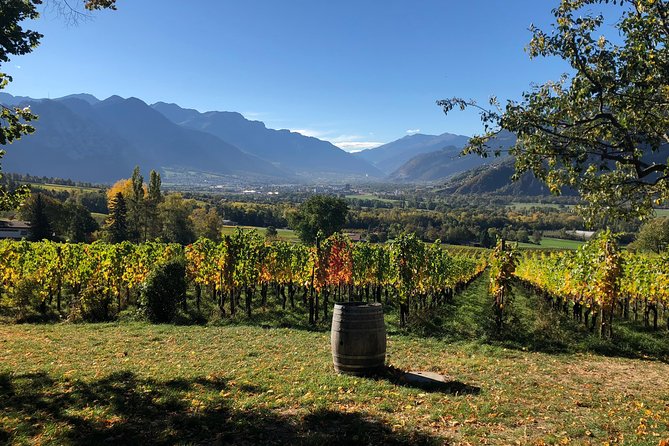 3 Hour Unique Wine Tour - Half Day in Swiss Alps - Stop 2: Rhine Valley Views, and Why the Scenery Has Value