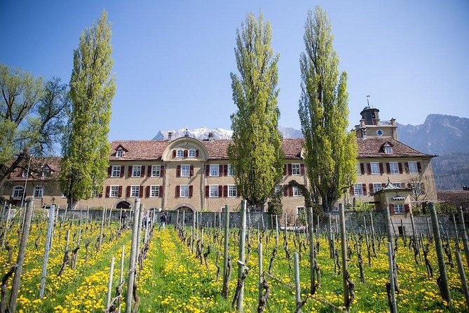 3 Hour Unique Wine Tour - Half Day in Swiss Alps - Stop 1: Swiss Vines, Cellars, and Tastings That Actually Teach