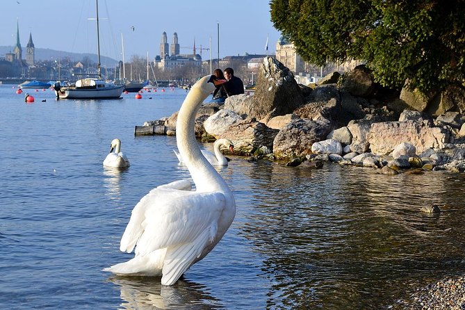 3 in 1: Zurich Walking Tour - Cruise on the Lake - Cable Car Ride to Felsenegg - Felsenegg or Uetliberg: the cable car ride and Planetweg solar trail