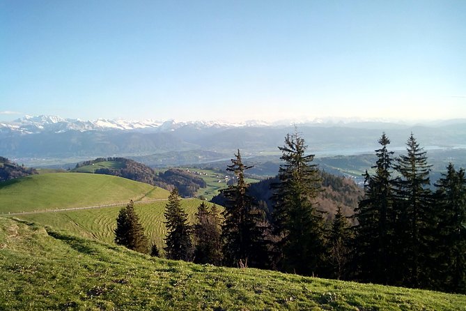 4-hour Quad Tour near Zurich - Key points before you go