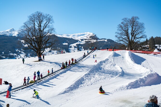 Afternoon Beginner Package Ski in Interlaken - Key Highlights You’ll Care About