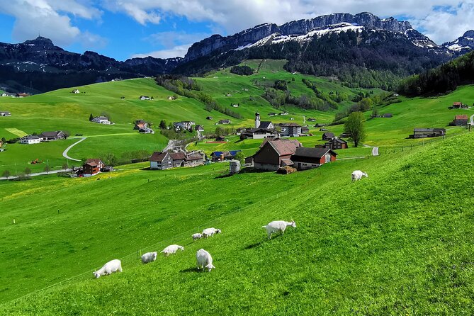 All Inclusive Rhine Falls and Appenzell Private Day Tour from Zurich - Private Tour Value From Zurich, and Where the Cost Makes Sense