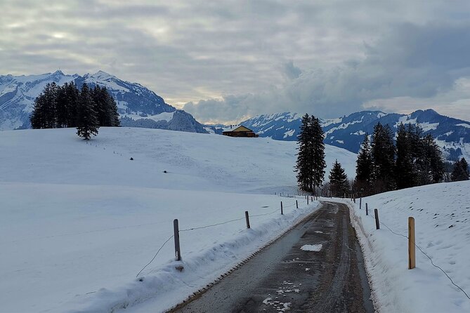 All Inclusive Rhine Falls and Appenzell Private Day Tour from Zurich - Who This Private Rhine Falls and Appenzell Day Trip Fits Best