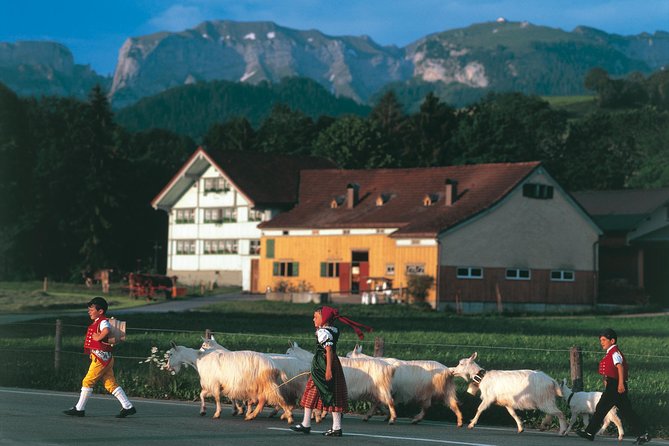 Appenzell Alps Day Trip from Zurich – Farm Life & Cheese Tasting - A day that feels like Switzerland, from barn to mountain