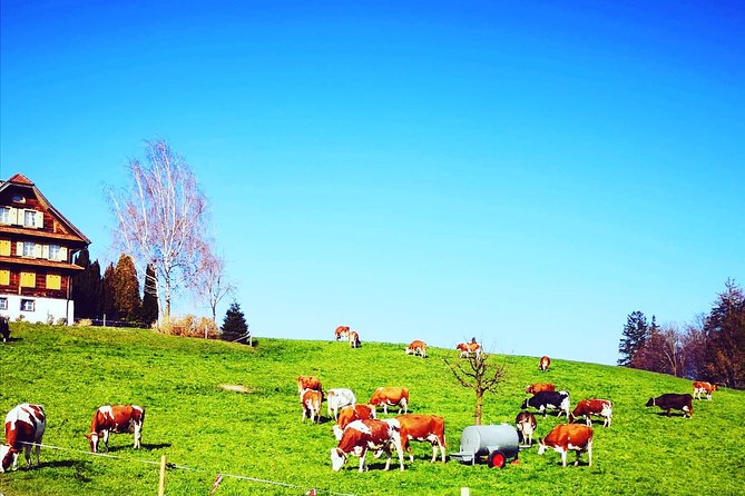 Appenzell and Liechtenstein Tour from Zurich - Liechtenstein and Vaduz: Crossing the Rhine and Stamping Your Passport
