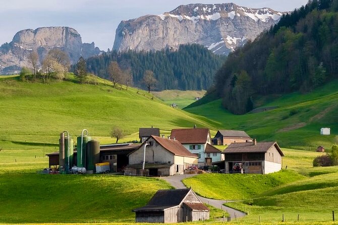 Appenzell Cow milking experience from Zurich with alpine scenery - Key Highlights to Know Before You Go