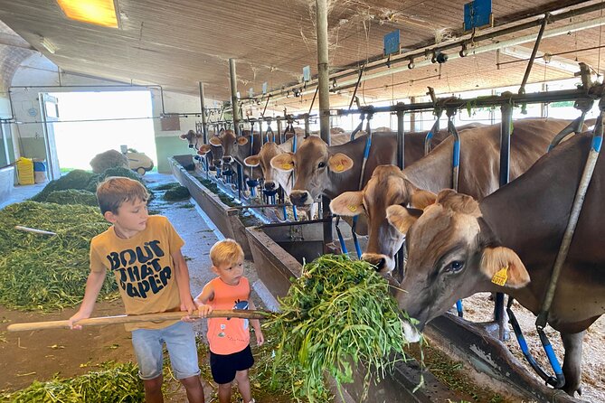 Appenzell Cow milking experience from Zurich with alpine scenery - Appenzell Village Walk: Painted Houses and Small-Store Charm