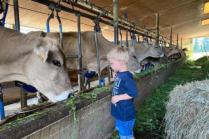 Appenzell Cow milking experience from Zurich with alpine scenery - Optional Rhine Falls Detour, Plus That Big Waterfall Wow
