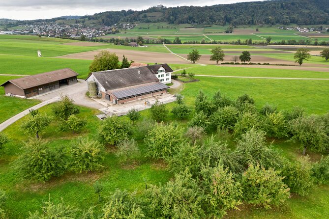 Appenzell Cow milking experience from Zurich with alpine scenery - How Long Is the Day, and How to Plan Your Timing