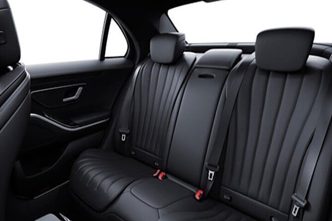 Arrival from Basel Airport BSL to Basel City by Luxury Vehicle - Who should book this Basel airport transfer