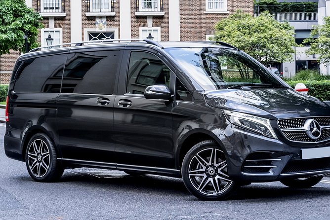 Arrival Private Transfer: EuroAirport (BSL MLH EAP) to Basel in Luxury Van - Quick hits before you land