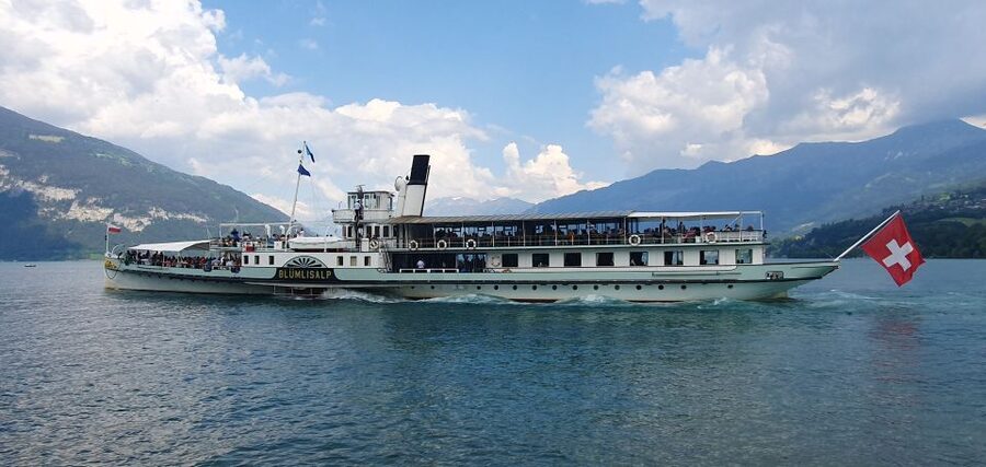 Attraction Ticket: Day Pass for Lake Thun&Brienz Boat Cruise - Interlaken West and Ost, Your Real Start Points