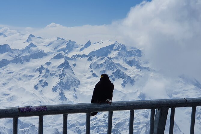 Attraction Ticket: Mt. Titlis by Train and Cableway from Lucerne - Titlis Cliff Walk: The Thrill Part of the Day