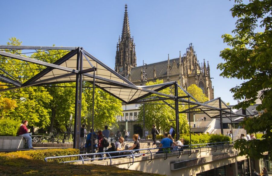 Basel: Express Walk with a Local in 60 minutes - Basel Minster: Sightseeing with a Local Lens