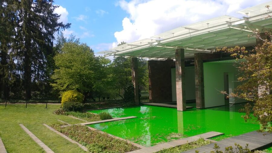 Basel: Private Walking Tour with a Local Guide - Merian Gardens: why the calm side of Basel matters on a first visit