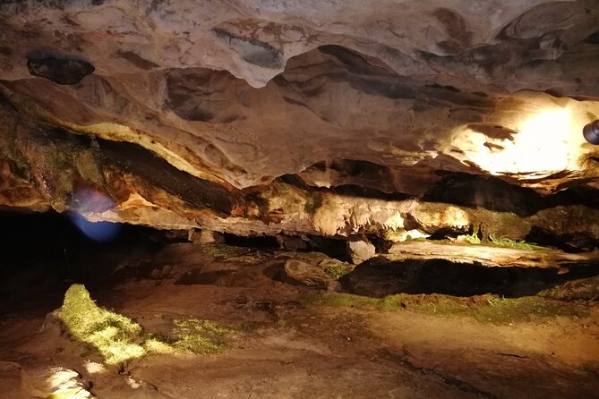 Beatus Caves, Panoramic Bridge, Nature Park Blue Lake and Lake Thun Cruise - Price and value: what $373.79 buys on this route