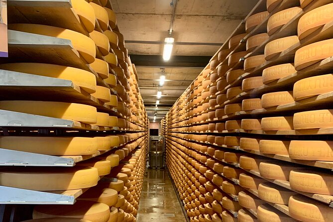 Bern Private Tour - Gruyères , Cheese, and Lavaux's UNESCO Wine - Who this tour suits best (and who should choose differently)