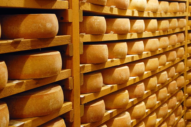 Berne the Capital and Cheese paradise Emmental (Private Tour) - The big takeaway: milk to cheese is a system, not magic