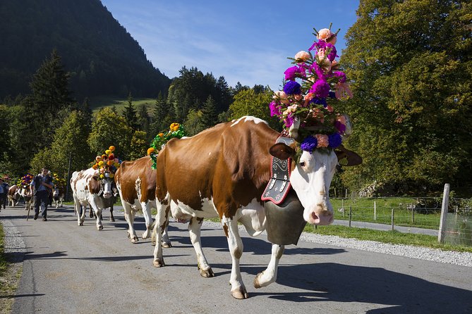 Berne the Capital and Cheese paradise Emmental (Private Tour) - Weather matters here, so plan with flexibility