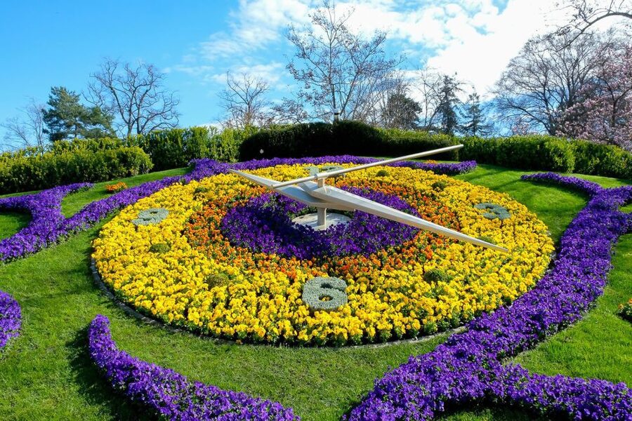 Best of Geneva City Tour: International Area and Old Town - Comfort and sound: what to expect on the bus