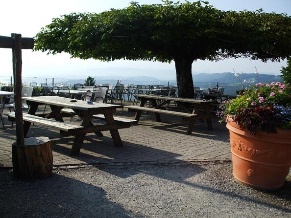 Best of Zurich Tour with Felsenegg Cable Car and Ferry Ride - Half-day Zurich, with a plan that actually fits your day