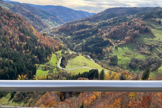Black Forest Germany Private Car Tour for 1 to 6 Persons - Why this Black Forest private car tour is a smart move from Basel