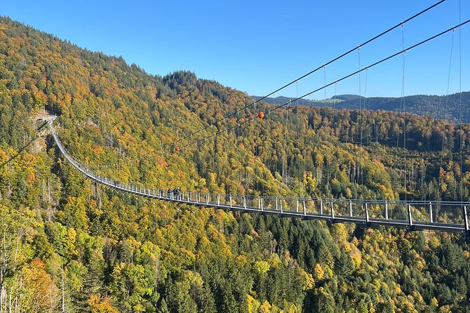 Black Forest Germany Private Car Tour for 1 to 6 Persons - How the timing and transport keep your day from dragging