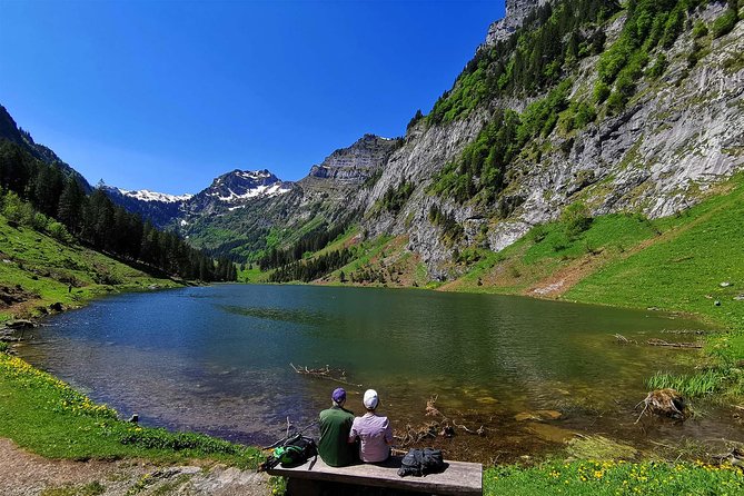 Breathtaking Private Hike with a Local Swiss Expert (1 day trip) - Price and what $1,393.85 per person buys you