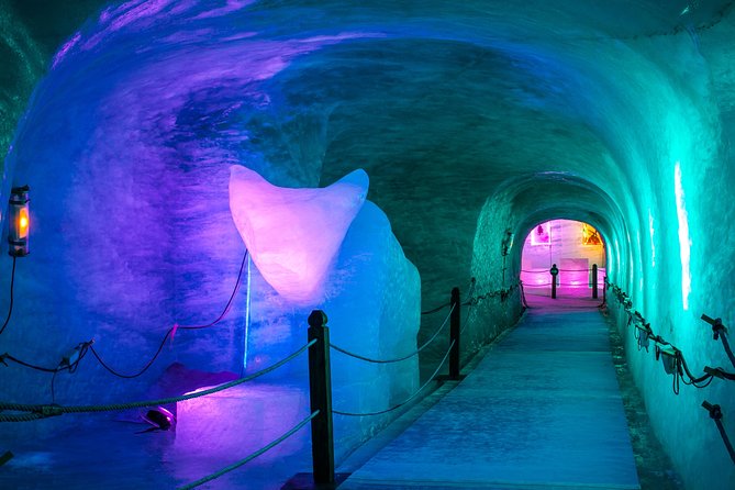 Chamonix and Mont-Blanc Independent Day Trip from Geneva - Independent Means You Still Need to Follow the Rules