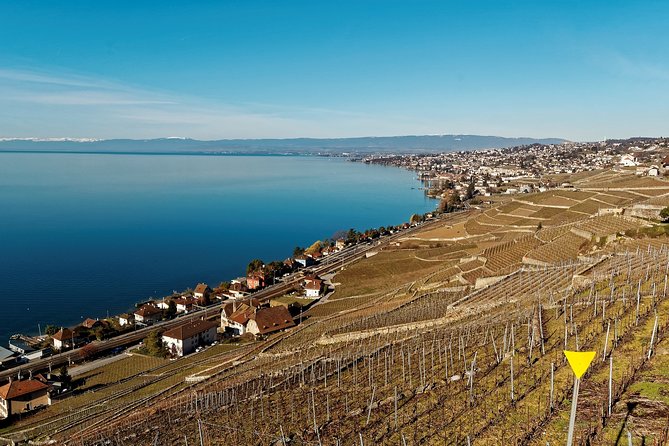 Cheese, Chocolate and Wine in the Bern Region from Luzern - A Food and Views Road Trip From Lucerne