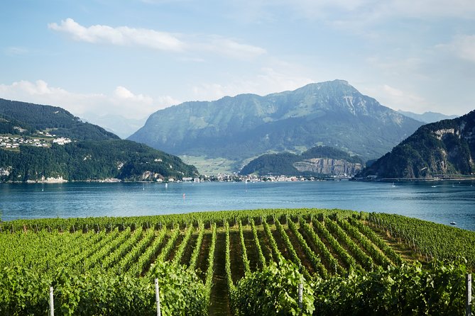 Chocolate, Cheese and Wine Tour in Luzern region - Transport comfort, water, and how to prepare your body for tastings