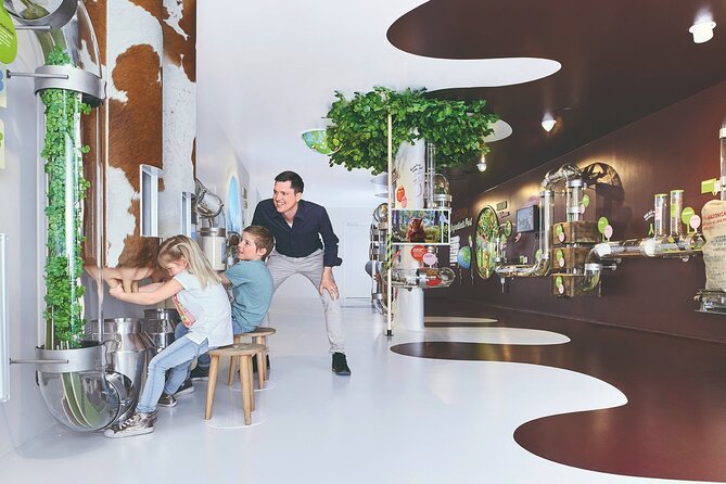 Chocolate factory Individual experience tour - Key highlights you should care about
