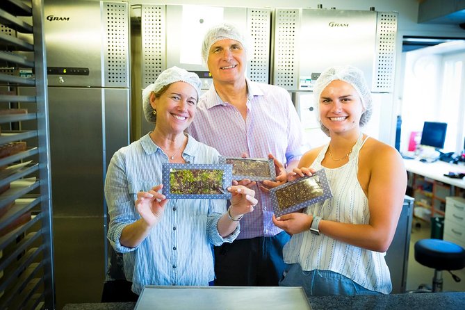 Chocolate Tasting with Lake Trip and City Tour: The Ultimate Lucerne Experience - Price and Value: Is $405.26 per Person Fair?