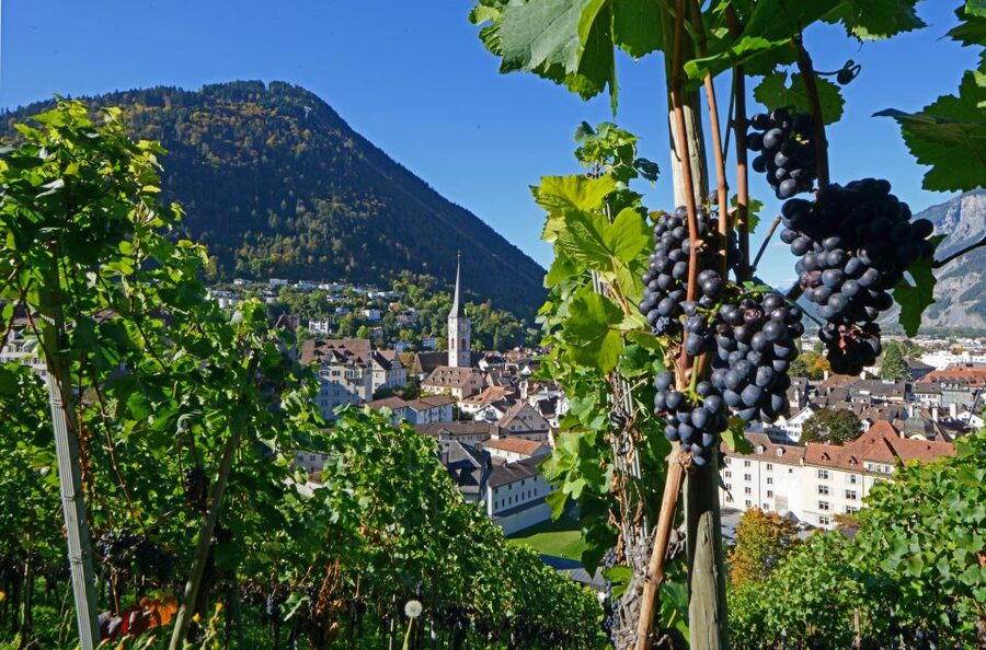 Chur: Altstadtführung - Middle Ages Up Close, Including the Bear Hole