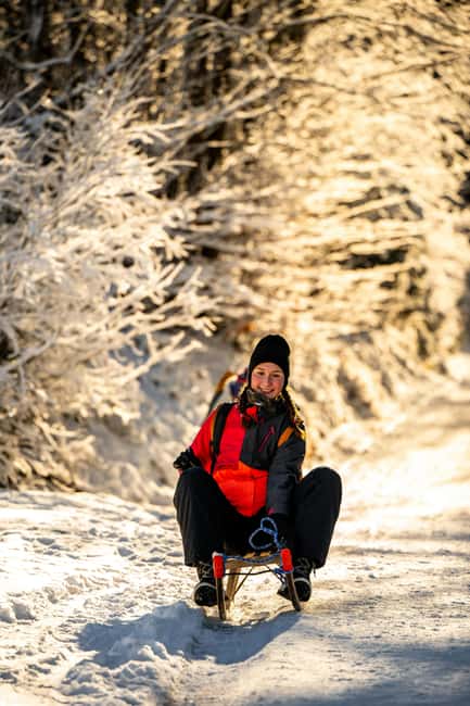 Day/Night Sledding + ALL-YOU-CAN-EAT Cheese&Chocolate Fondue - Entering the sledding: gondola ride, safety talk, and real Swiss speed