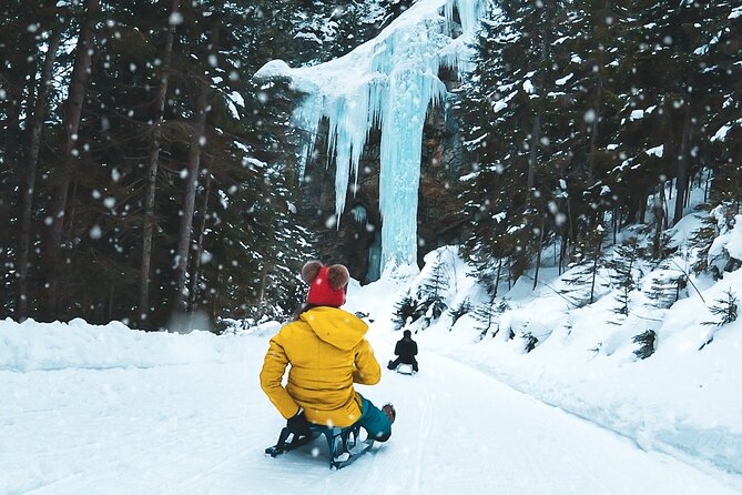 Day Sledding in Interlaken - Key Highlights You’ll Care About