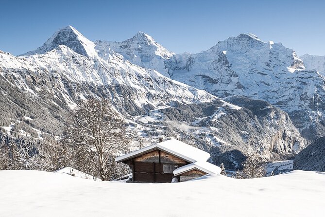Day Sledding in Interlaken - Why Sledding in the Jungfrau Region Feels Special