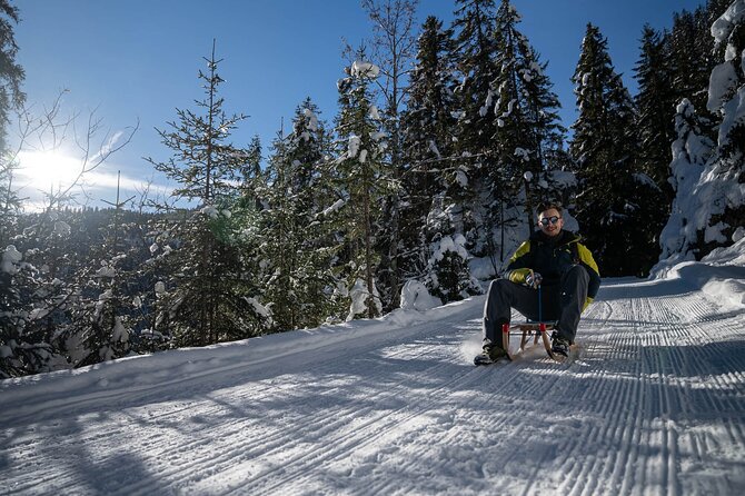 Day Sledding in Interlaken - The 1-Hour Sled Run: What You Actually Do on the Hill