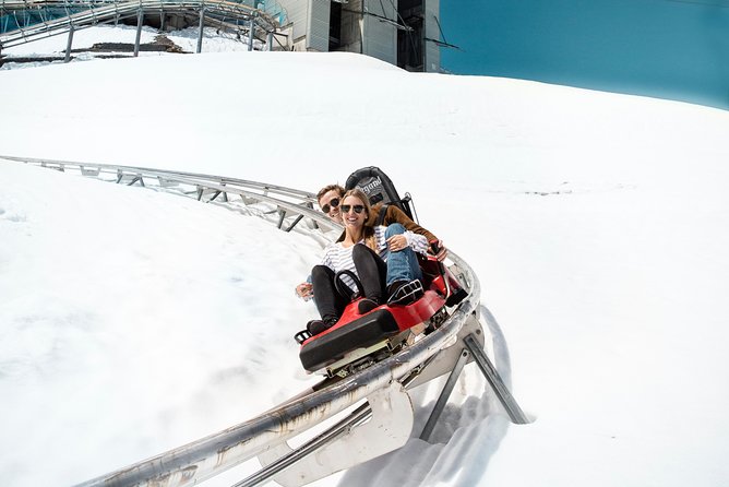 Day trip to Glacier 3000 from Montreux - Peak Walk by Tissot and the Gold option extras: for when you want the wow factor