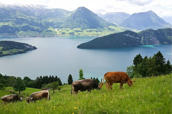 Day Trip to Lucerne and Mt. Rigi with a local from Zurich - The Lake Lucerne drive and Lucerne introduction