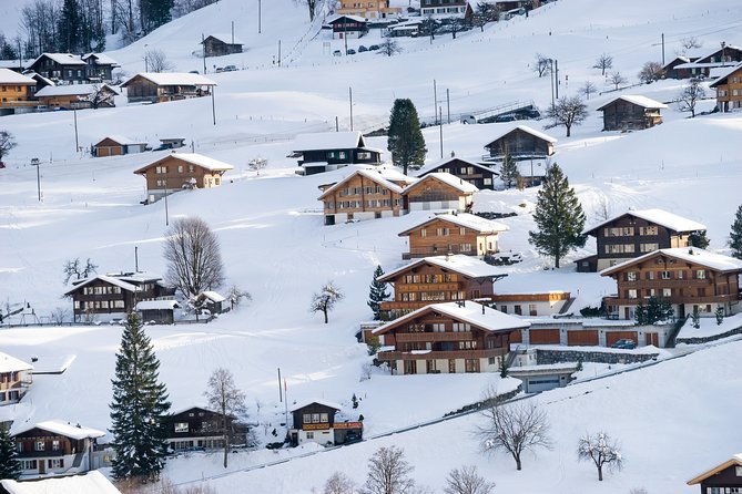 Daytrip to Jungfraujoch Top of Europe and Interlaken from Zurich - Who this fits best (and who should skip)