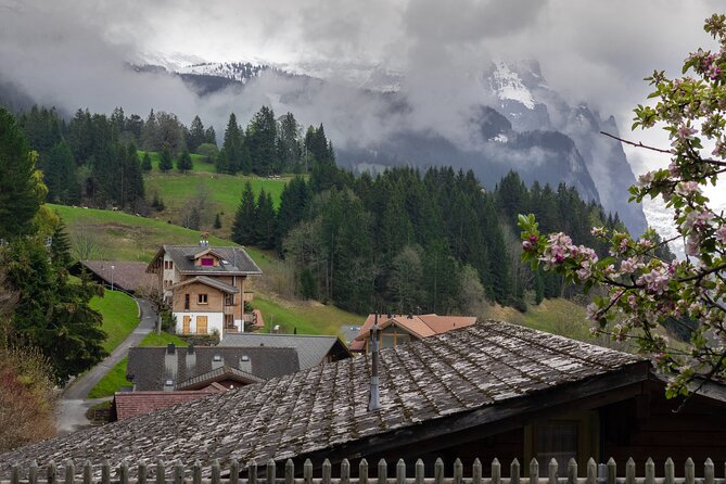 Daytrip to Swiss Villages: Interlaken Grindelwald & Lauterbrunnen - The reality of tour guidance: some teams go deep, some run logistics