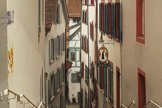 Discover Basel's Charm: Exclusive Private Walking Tour - Transport Included: Tram, Bus, and a Ferry That Keeps You Moving