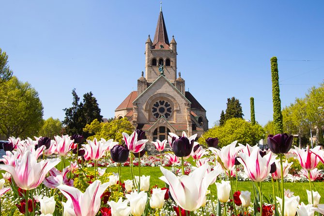 Discover Basel’s most Photogenic Spots with a Local - The long bridge and the cathedral view: your first real photo win