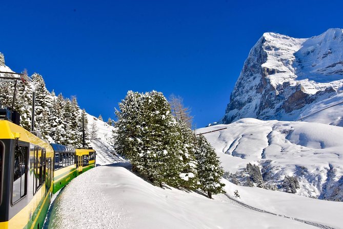 Eiger and Jungfrau Glacier Panorama Tour from Zurich - Grindelwald time: glacier village vibes, but manage expectations