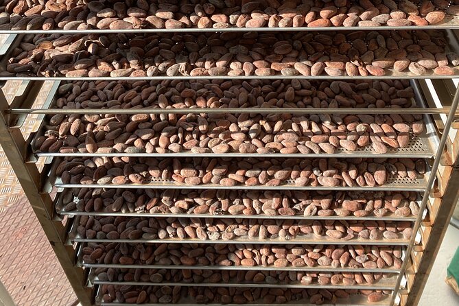 Ethical Chocolate Tour - How learning Switzerland’s chocolate story changes what you taste