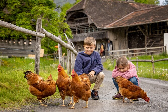Experience Switzerland in the Ballenberg open-air museum - Using the English digital museum guide the smart way