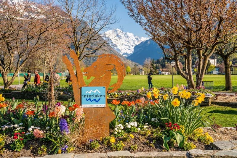 Explore Swiss Villages: Interlaken-Grindelwald(Private Tour) - Who should book this private Swiss villages tour