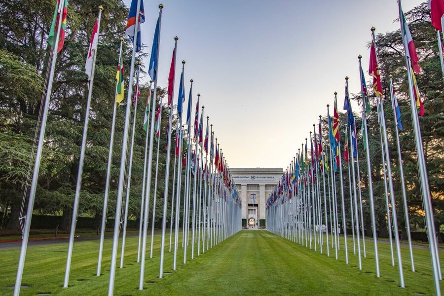 Explore the best guided intro tour of Geneva with a Local - Who this tour suits best in Geneva