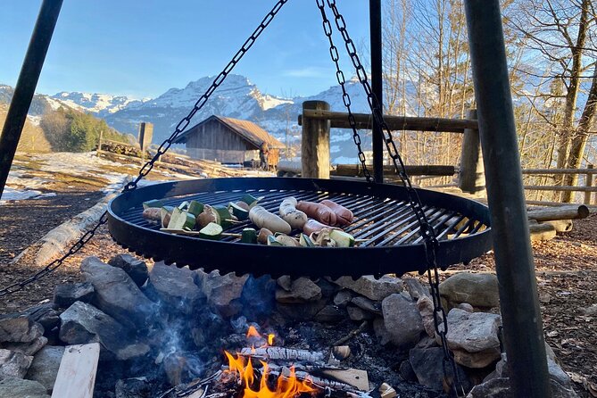 Flavours of Switzerland Luxury Private Tour from Zurich & Lucerne - Lake Zurich Drive: Learning the Region Before the Big Stops